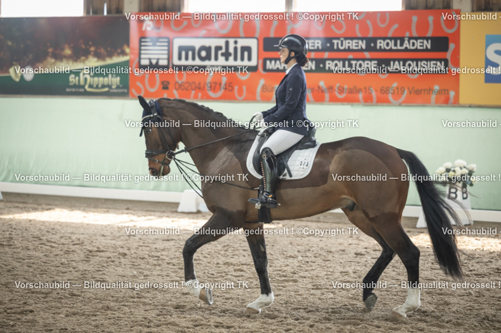 _D5A5451 | Emotionale Pferde- & People-Fotografie rund um Heidelberg, Leimen & Umgebung. Natürliche Fotos von Pferd, Mensch & Familie. Jetzt Termin sichern!