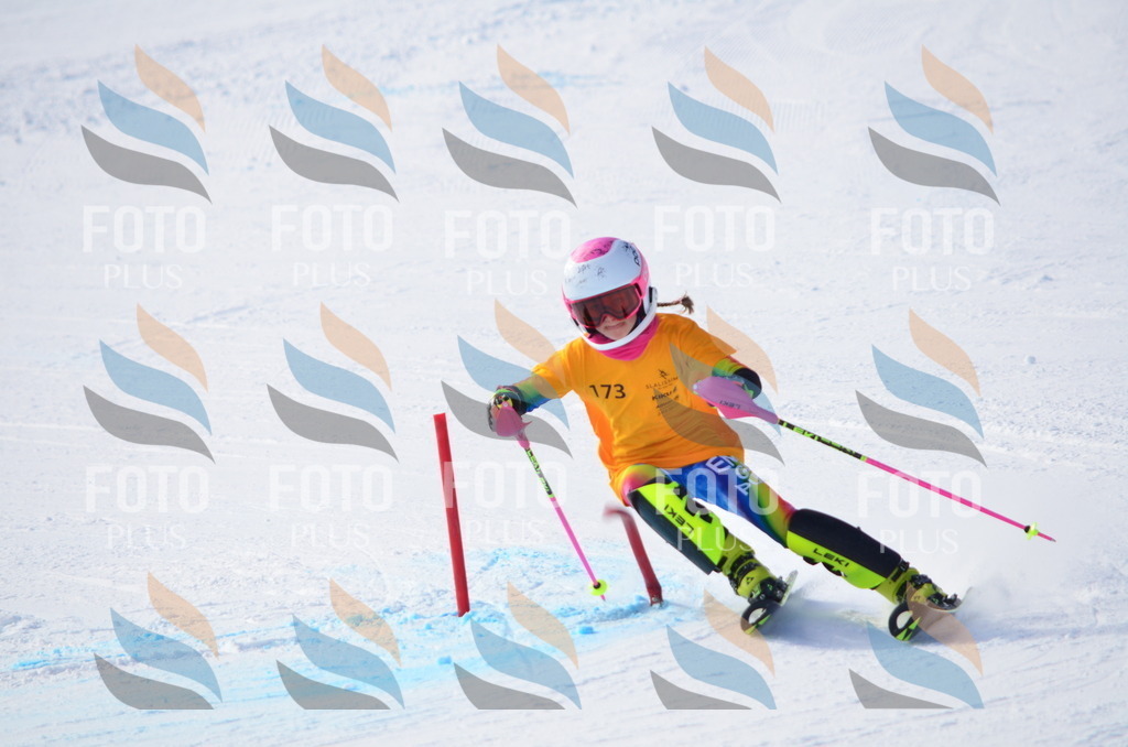 C7923 | holidayphoto