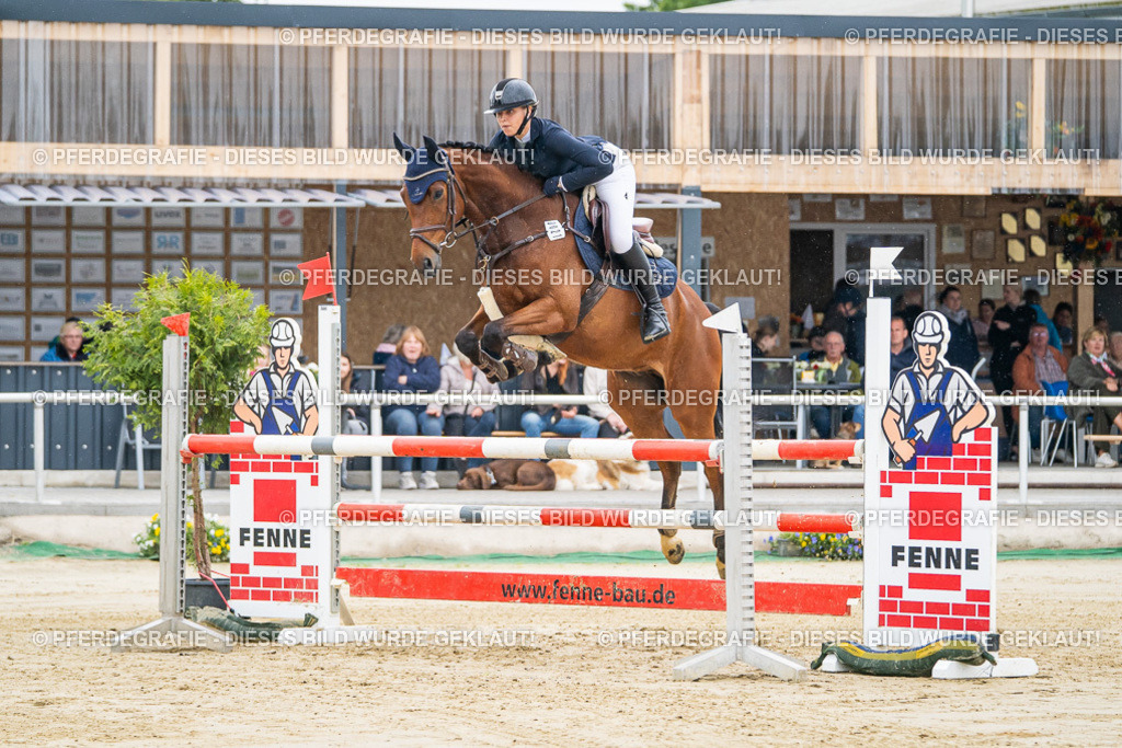 DSC01202 | Pferdegrafie