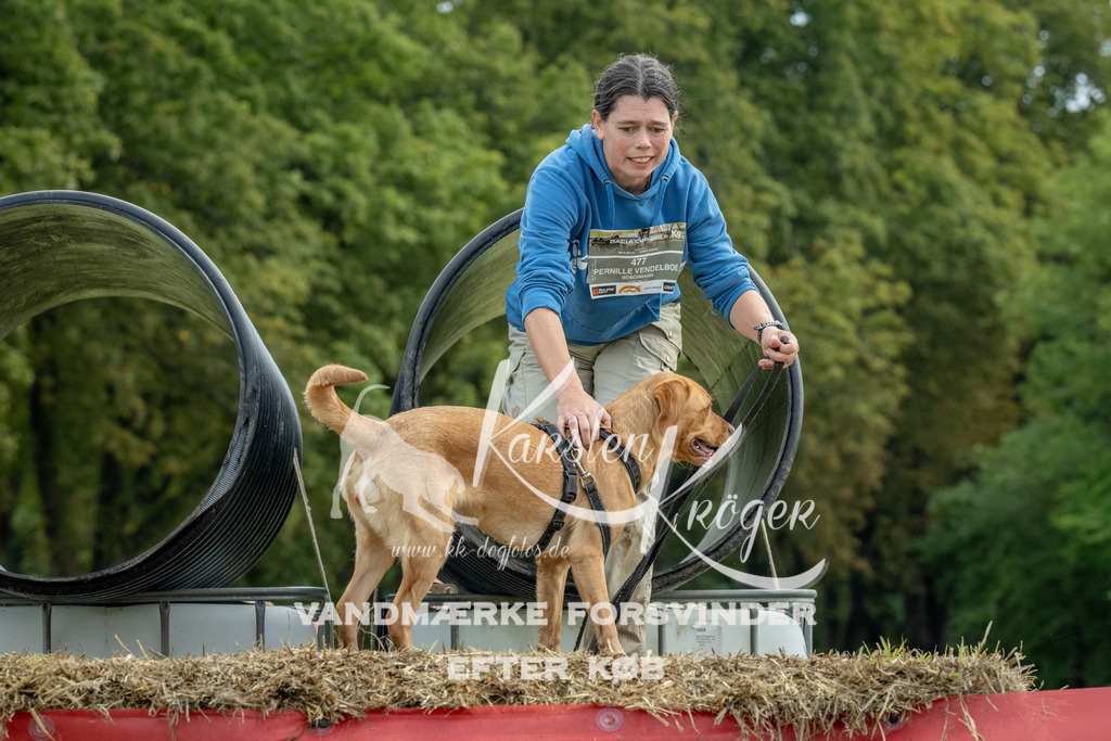 1042_ZZ92979 | kk-dogfotos
