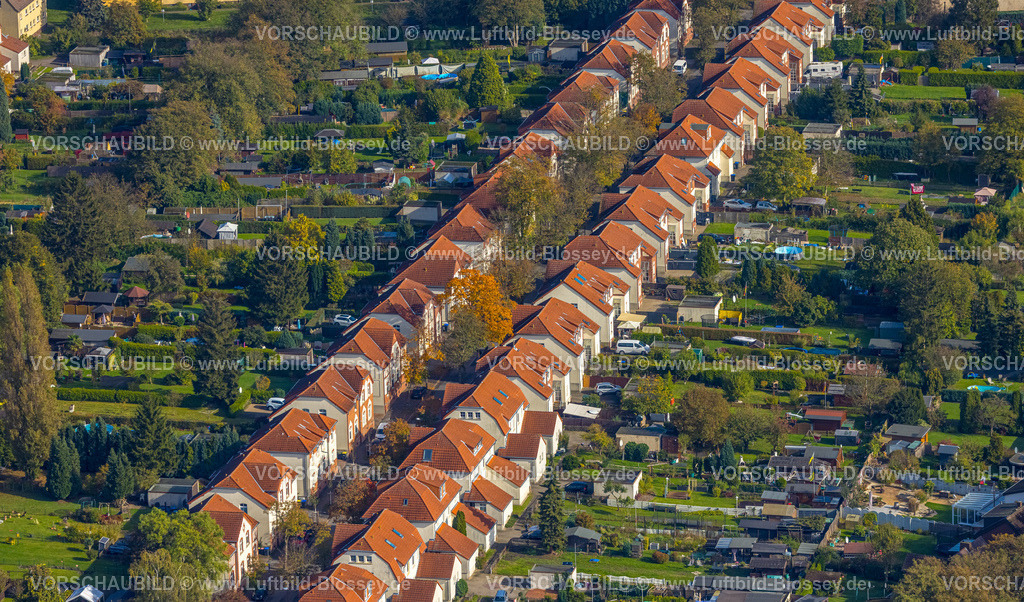 Luenen241012507 | Luftbild, Alte Kolonie - Zechensiedlung Lünen Brambauer, Reihenhäuser mit roten Dächern und Gartenanlagen, Brambauer, Lünen, Ruhrgebiet, Nordrhein-Westfalen, Deutschland