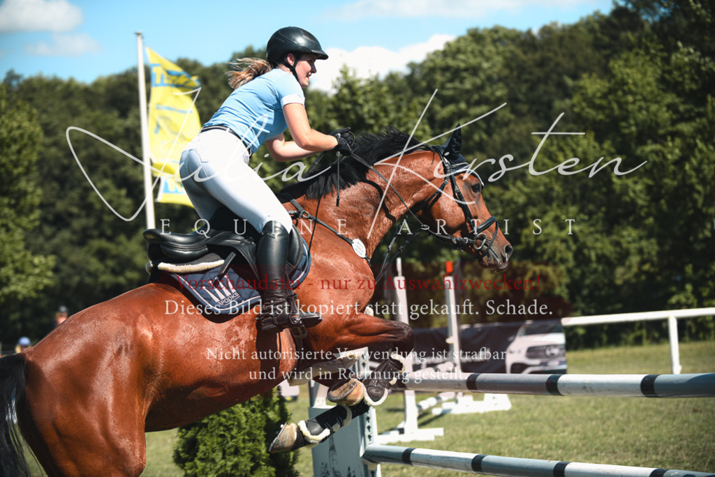 DSC_7158 | Pferde- und Turnierfotografie in Westsachsen. Pferdeportraits, Auftragszeichnungen und intuitive Kunst.
