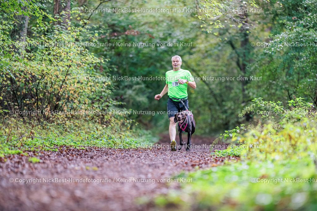 THS-HSV-Blumenthal-2026-Nickbest-Hundefotografie-0192 | Dein Hund! Dein Moment! Deine Erinnerungen! Hundefotografie in Bremen Blumenthal. Ich fange die besonderen Momente deines Vierbeiners ein – ob Indoor mit Blitzanlage oder in der freien Natur. Sicher dir dein Moment und dein Termin für eure Erinnerungen.