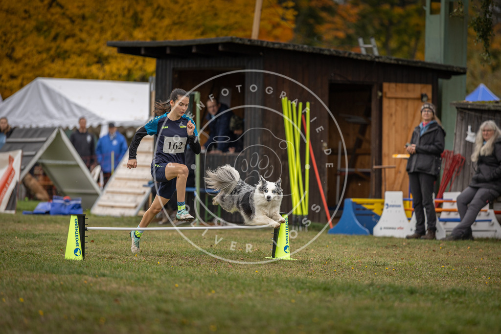 Pfotenfotografie_DV3A4936 | Hundefotografie, Tierfotograf, Pfotenfotografie, Fotoshooting Hund, Hunde Portrait, Hundesport, Hundeportraits, Heideshooting, Hunde, Sportfotograf, Hundefotograf, Turnierhundsport, THS,  - Realisiert mit Pictrs.com