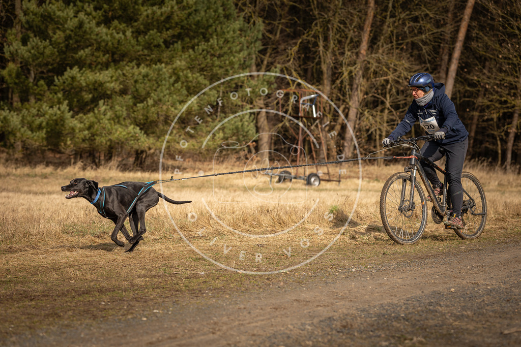 DV3A4380 | Hundefotografie, Tierfotograf, Pfotenfotografie, Fotoshooting Hund, Hunde Portrait, Hundesport, Hundeportraits, Heideshooting, Hunde, Sportfotograf, Hundefotograf, Turnierhundsport, THS,  - Realisiert mit Pictrs.com