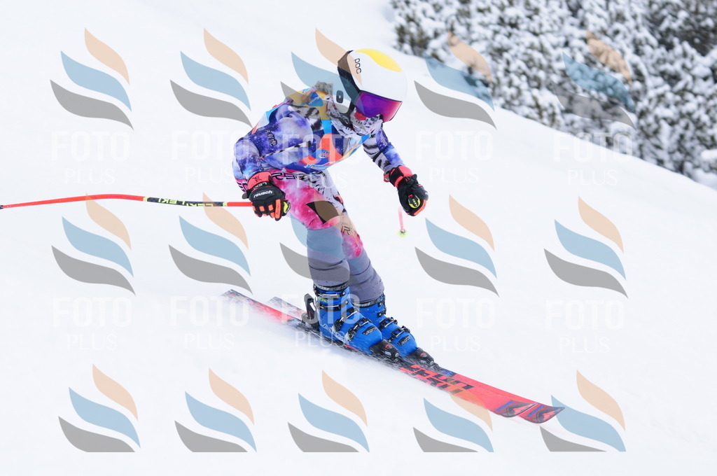 C3763 | holidayphoto