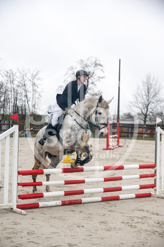 DSC_8330 | sattelsport - Realisiert mit Pictrs.com