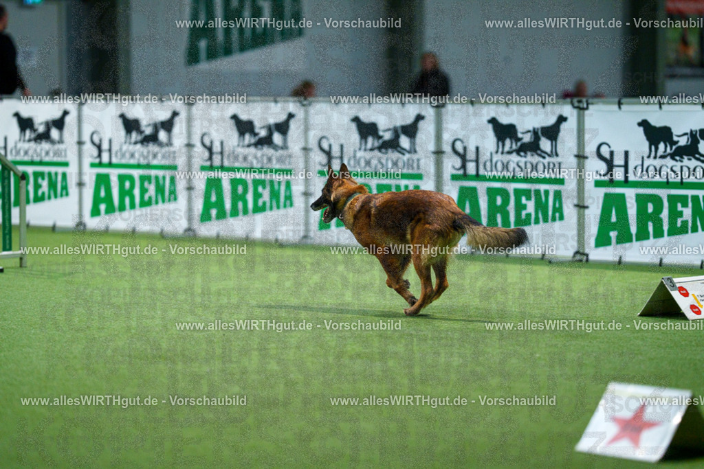 7R505597 | Professionelle Tierfotografie in Mönchengladbach von Daniel Wirth (allesWIRTHgut). Liebevolle & natürliche Bilder von Hunden & Katzen für unvergessliche Erinnerungen.