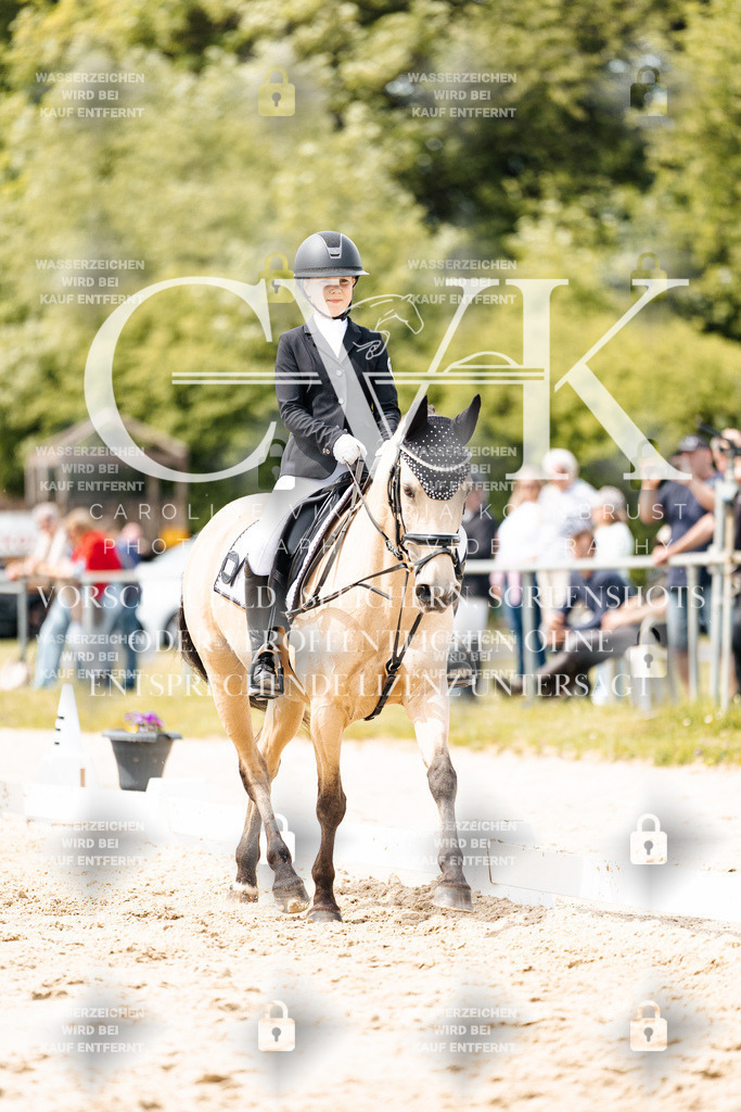 CK902601 | Turnierfotografie Pferdefotografie Trier Rheinland-Pfalz Pferdesport Reitsport Tierfotografie Sportfotografie Pferdevideo Pferdevideografie Equestrianvideography equestrianphotography  - Realisiert mit Pictrs.com