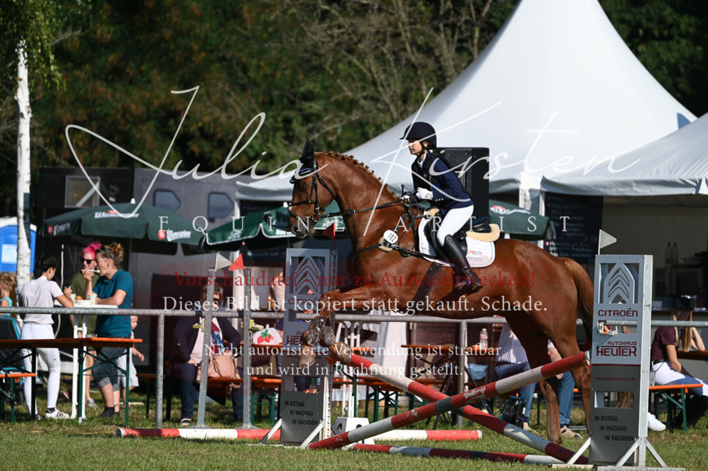 DSC_5116 | Pferde- und Turnierfotografie in Westsachsen. Pferdeportraits, Auftragszeichnungen und intuitive Kunst.