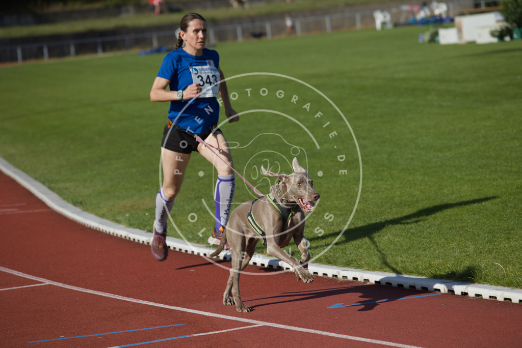 0L8A9074 | Hundefotografie, Tierfotograf, Pfotenfotografie, Fotoshooting Hund, Hunde Portrait, Hundesport, Hundeportraits, Heideshooting, Hunde, Sportfotograf, Hundefotograf, Turnierhundsport, THS,  - Realisiert mit Pictrs.com
