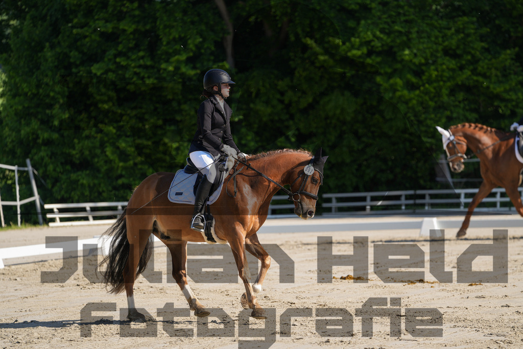 DSC02844 | Julian Held Fotografie - Realisiert mit Pictrs.com