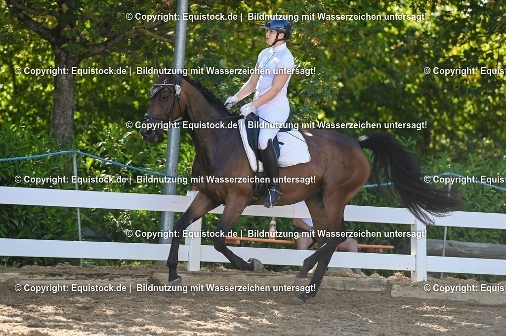 20230715_06_Dressurpferdeprfg. Kl.A_0285 | equistock