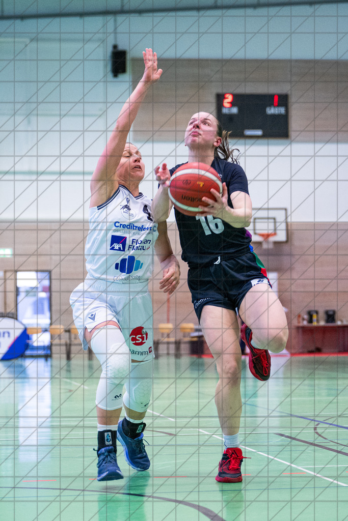 2. DBBL Nord 25/26 | Spieltag 19 | BBC Osnabrück vs. ChemCats Chemnitz | 15.02.26: 2. DBBL Nord 25/26 | Spieltag 19 | BBC Osnabrück vs. ChemCats Chemnitz / Osnabrück / Deutschland  //   CREDIT:www.bullenfotos.de, Martin König, Hörner Weg 40, D-49078 Osnabrück, +4917663732967 // Nutzung und Weitergabe nur zu den vereinbarten Zwecken. Presseanfragen an Ersteller. Alle Rechte beim Ersteller. Honorierung nach MFM. - Realisiert mit Pictrs.com