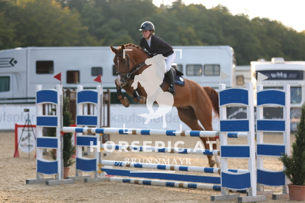 0P6A4257 | Willkommen bei Brunnmayr - Design & Fotografie – Ihrem Spezialisten für Reitturniere und Pferdeveranstaltungen in Oberösterreich, Salzburg und Bayern! Seit über 17 Jahren sind wir leidenschaftlich dabei.