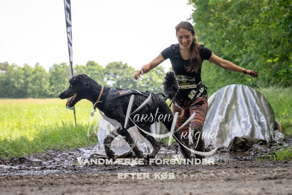 1149_ZZ94847 | kk-dogfotos