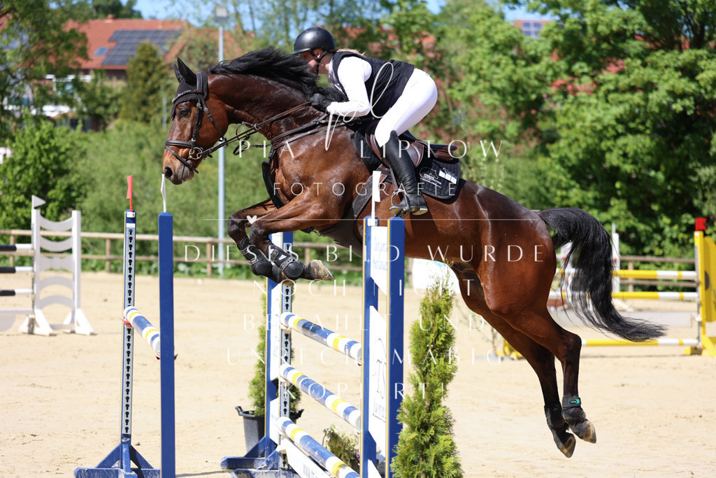 IMGS9810 | pl-fotografie