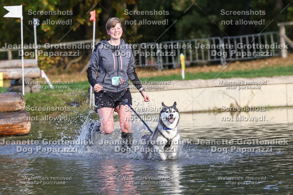 Dog Paparazzi - Strongdog 10-25-8355 | Dog Paparazzi Jeanette Grottendiek Fotografie & Videografie - Realisiert mit Pictrs.com