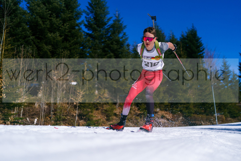 FESA Alpencup / DP Arber | 7. Deutschlandpokal Finale - ARBER Hohenzollern Skistadion, 6. - 9. März 2025