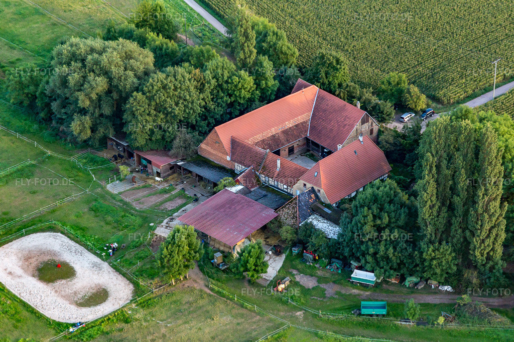 Luftbild: Ortsansicht in Oberhausen im Bundesland Rheinland-Pfalz in Deutschland. Foto: IMG_103242.jpg vom 03.09.2017 durch Werner Riehm/FLY-FOTO.de