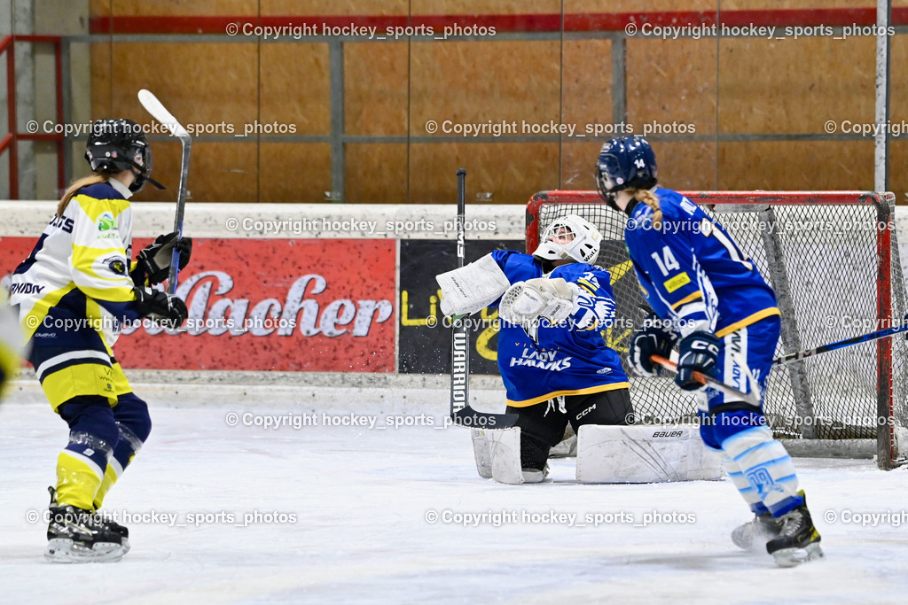 Wildcats Paternion vs. Lady Hawks  | #32 Prasser Hannah Sophie LADY HAWKS, #14 Moser Jasmin LADY HAWKS, Tor Wildcats Paternion, Wildcats Paternion vs. Lady Hawks , Wildcats Paternion vs. Lady Hawks  am 27.01.2025 in Spittal an der Drau (Eissportzentrum Spittal), Austria, (Photo by Bernd Stefan)