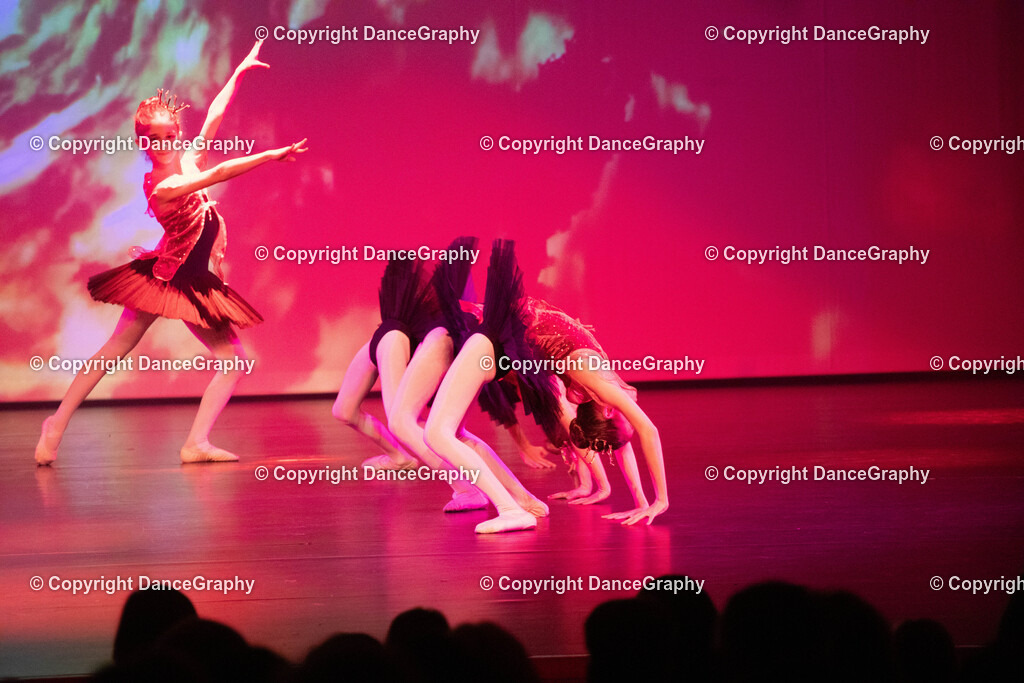 GPHY2170 | DanceGraphy - Realisiert mit Pictrs.com