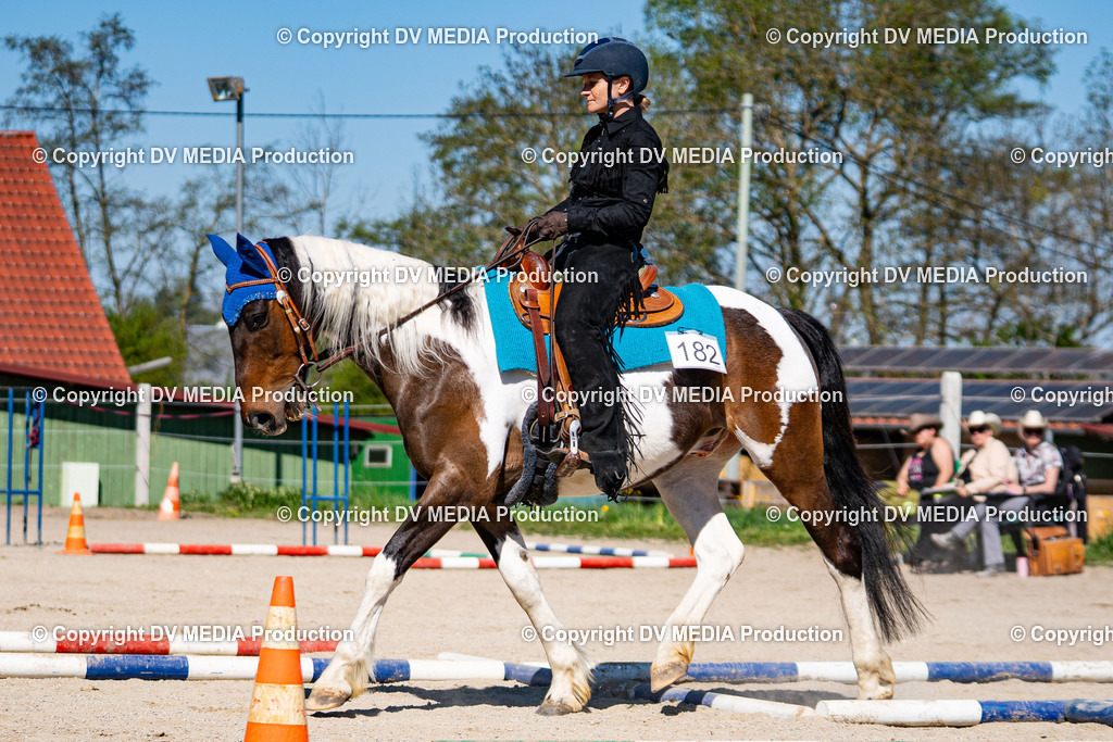 Balingen Tag 1-977 | dv-media-shop - Realisiert mit Pictrs.com