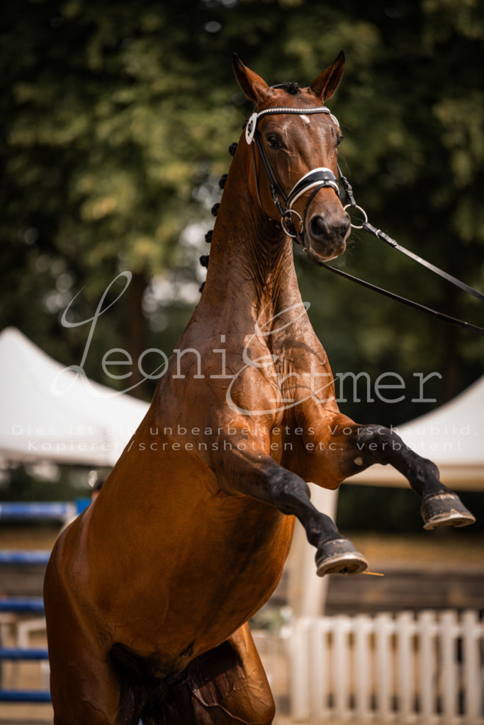 6.Fr00174 | Leoni Ertmer Photography - Realisiert mit Pictrs.com