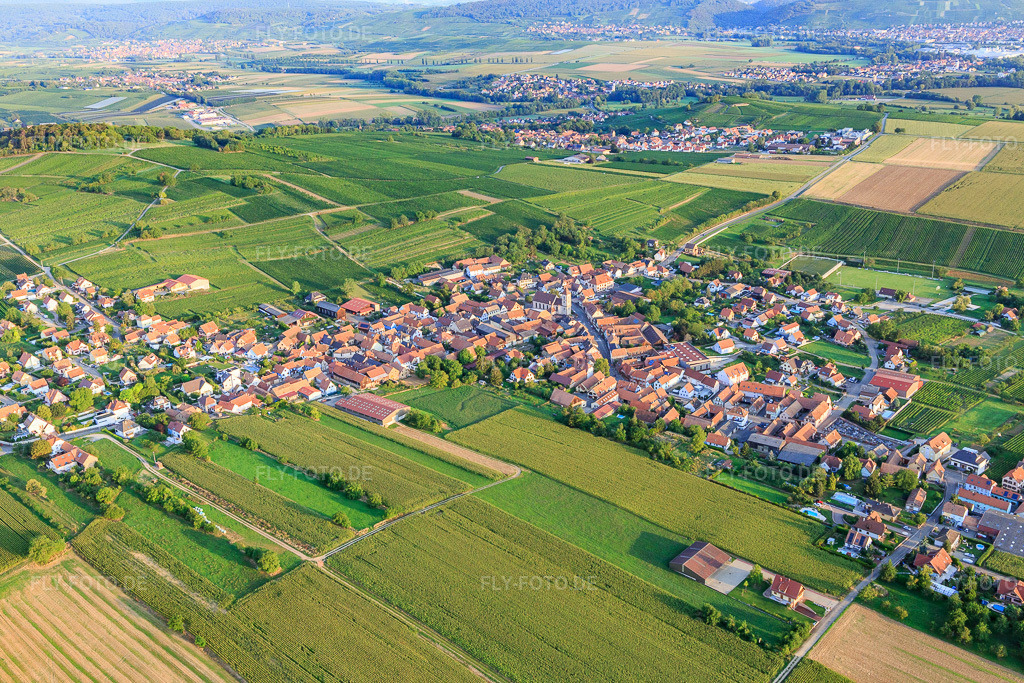 Luftbild: Ortsansicht von Südosten in Dahlenheim im Bundesland Bas-Rhin in Frankreich. – Foto: IMG_138018.jpg vom 19.08.2023 durch Werner Riehm/FLY-FOTO.de – Auflösung des Originals: 5337 x 3558 px