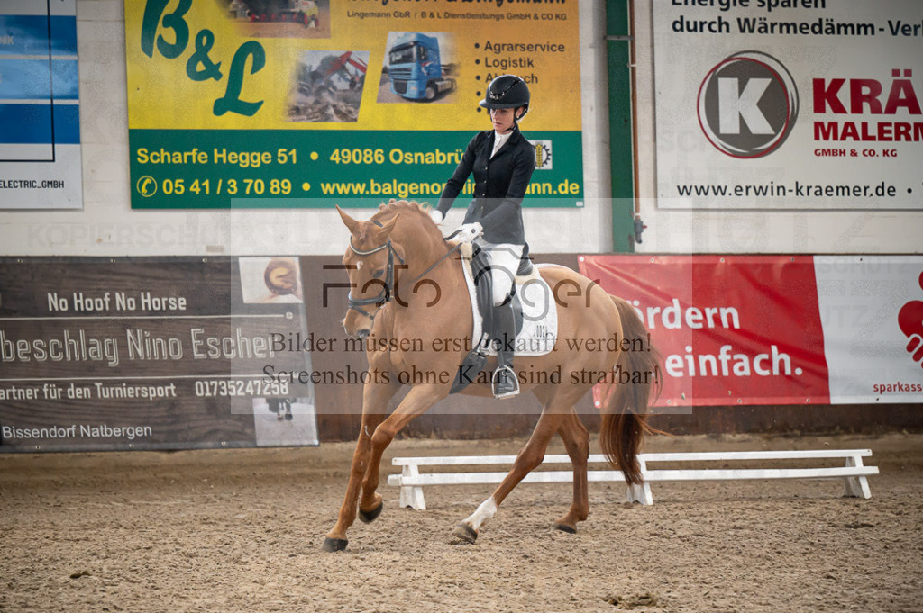 Hallenreittunier Voxtrup 2023 | Entdecke hochwertige Reitturnierfotos von Foto Oger. Professionell, emotional und authentisch – jetzt Lieblingsmomente im Shop bestellen.Deutschlandweite Turnierfotografie. - Realisiert mit Pictrs.com