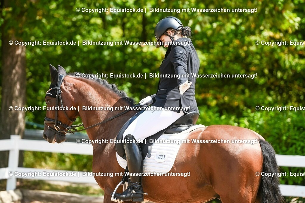 20230716_03_Dressurprfg. Kl.L - Tr._0132 | equistock