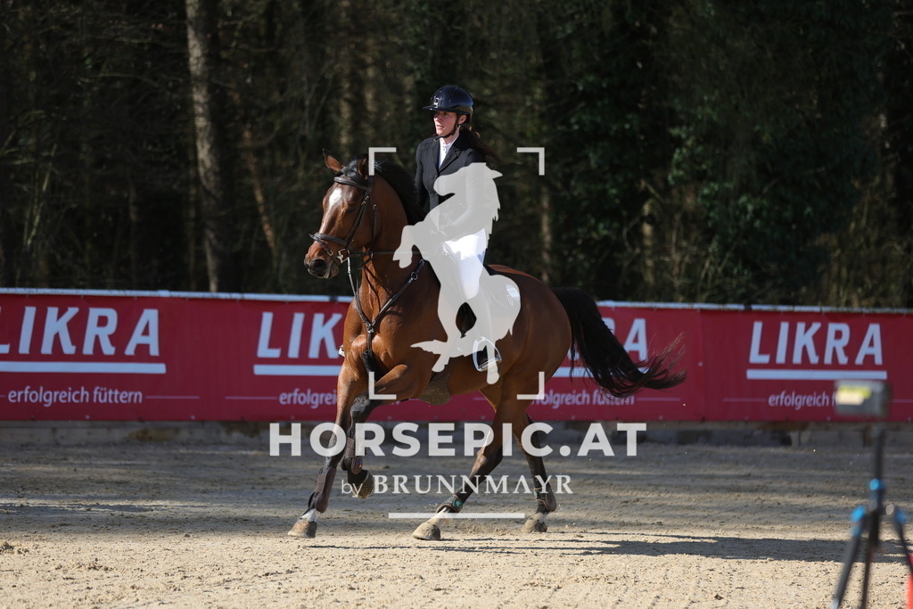 0P6A6997 | Willkommen bei Brunnmayr - Design & Fotografie – Ihrem Spezialisten für Reitturniere und Pferdeveranstaltungen in Oberösterreich, Salzburg und Bayern! Seit über 17 Jahren sind wir leidenschaftlich dabei.