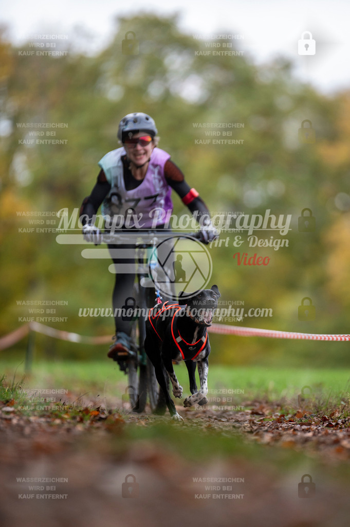 DBT_DAKM_SA_4_11_2023_Bike-28 | PayLife