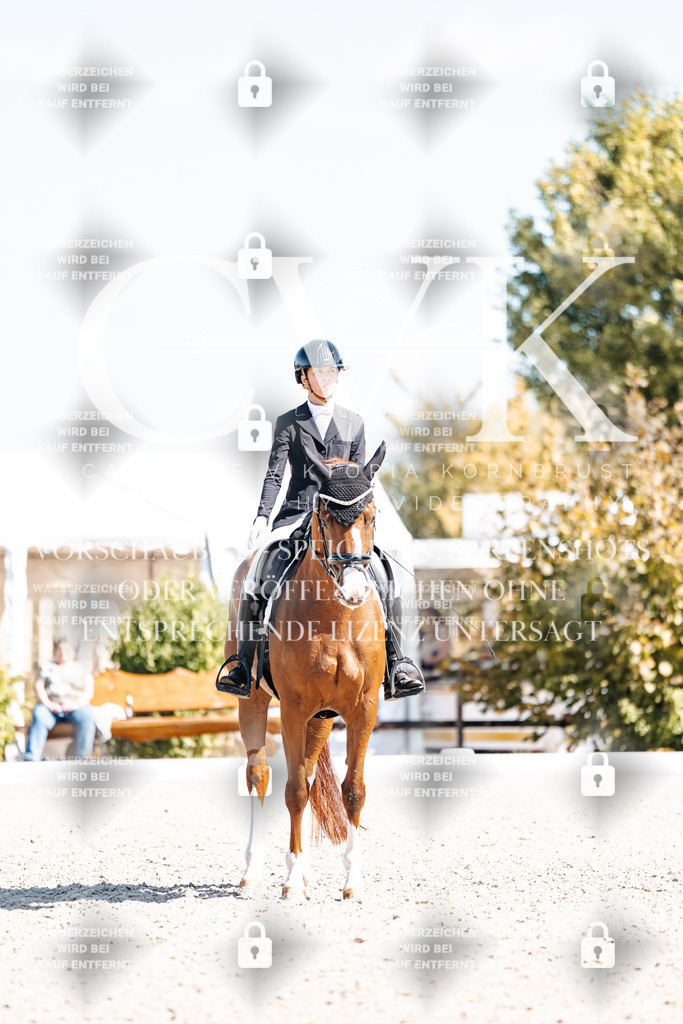 CK904116 | Turnierfotografie Pferdefotografie Trier Rheinland-Pfalz Pferdesport Reitsport Tierfotografie Sportfotografie Pferdevideo Pferdevideografie Equestrianvideography equestrianphotography  - Realisiert mit Pictrs.com