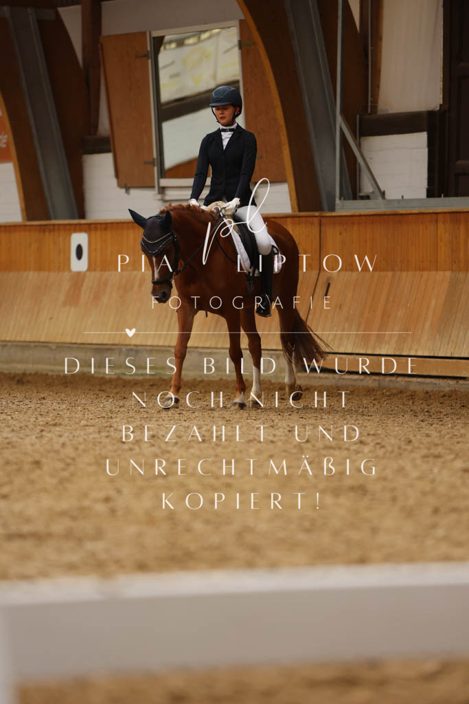 IMGM5400 | pl-fotografie