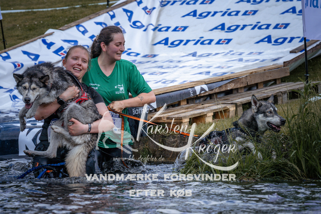 _ZZ912500912 | kk-dogfotos