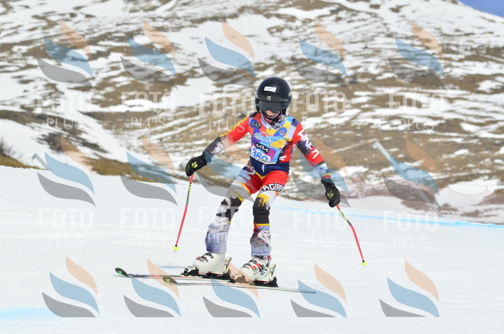 _ELE2852 | holidayphoto