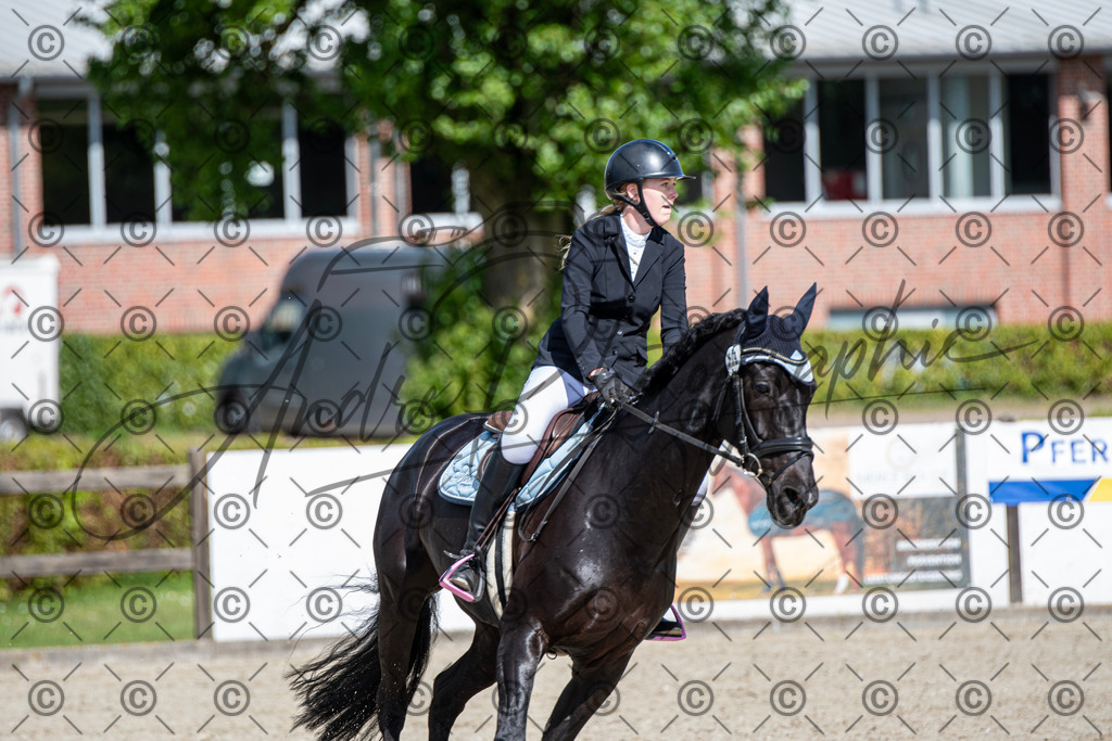 KPT_4948 | andre_photographic