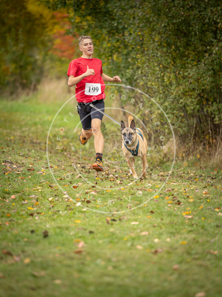 Pfotenfotografie_DV3A3808 | Hundefotografie, Tierfotograf, Pfotenfotografie, Fotoshooting Hund, Hunde Portrait, Hundesport, Hundeportraits, Heideshooting, Hunde, Sportfotograf, Hundefotograf, Turnierhundsport, THS,  - Realisiert mit Pictrs.com
