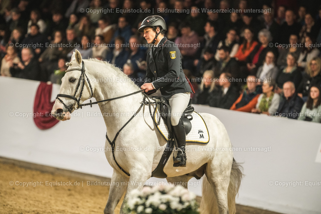 20240302_Hengstvorstellung_Marbach_TOMsPiC_1392 | equistock