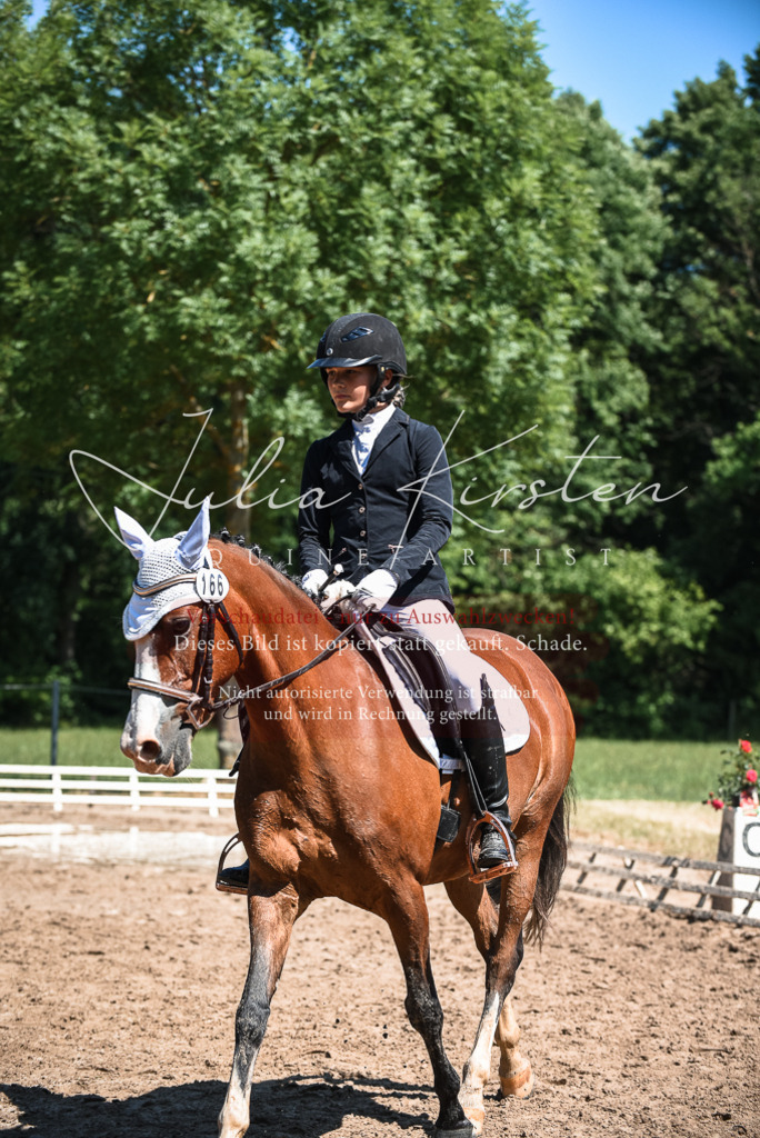 DSC_3166 | Pferde- und Turnierfotografie in Westsachsen. Pferdeportraits, Auftragszeichnungen und intuitive Kunst.