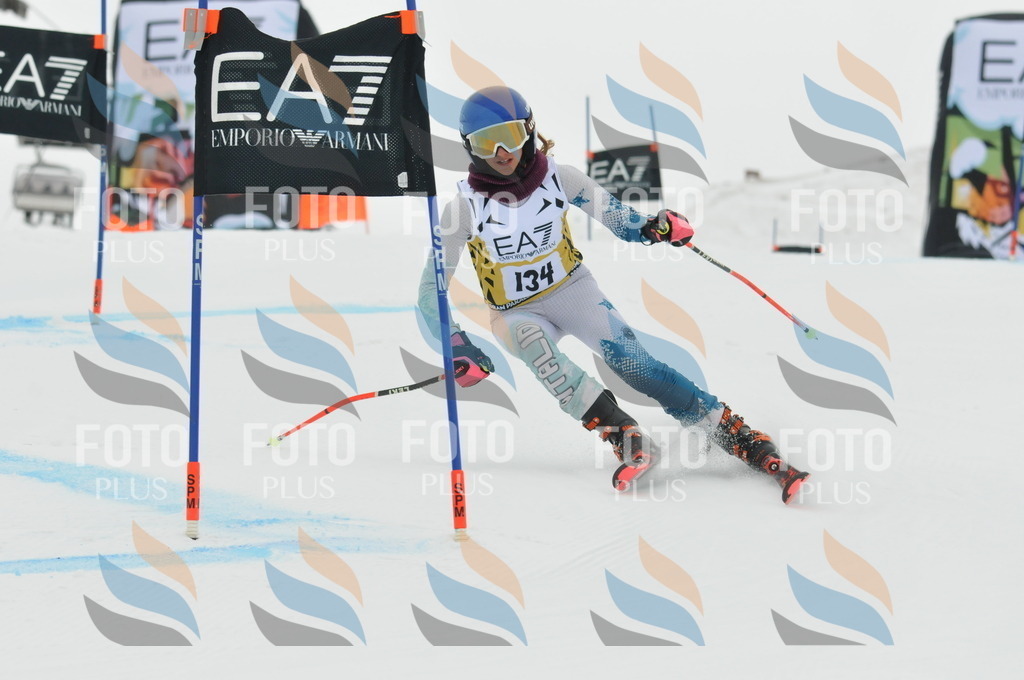 DSC_8324 | holidayphoto