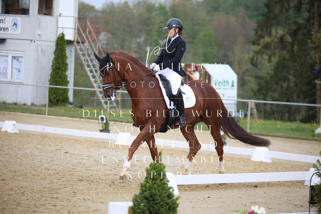 IMGT7548 | pl-fotografie