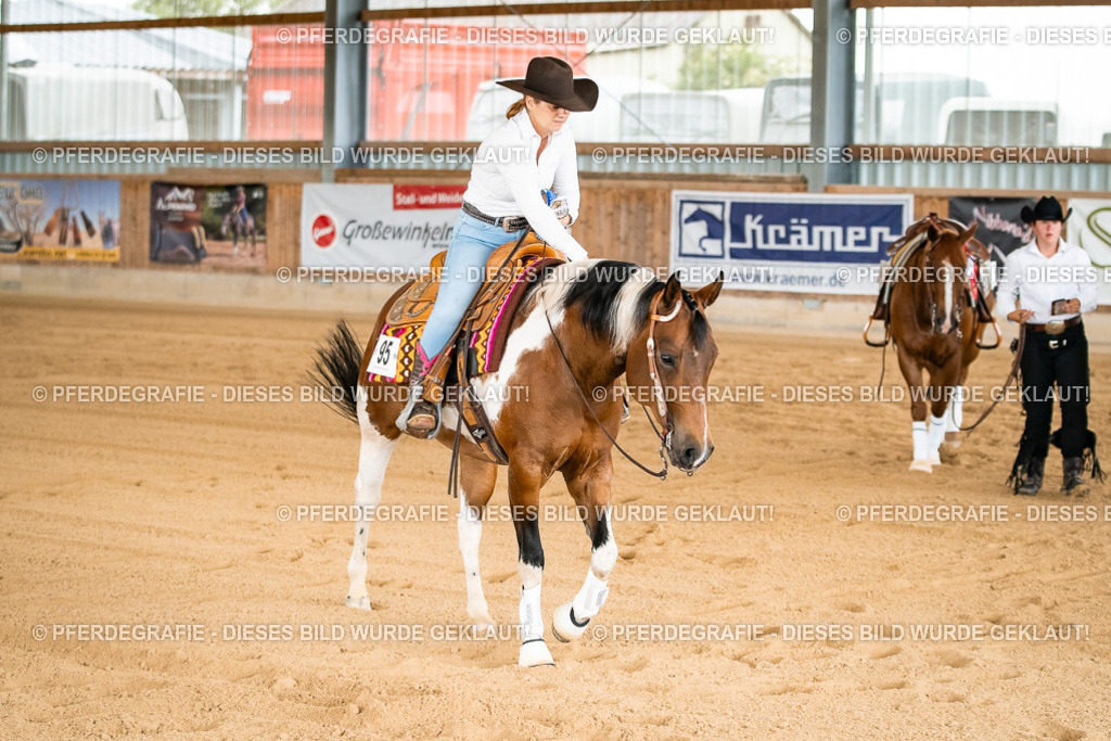 DSC02537 | Pferdegrafie