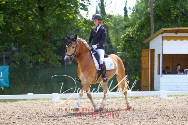 DKP42461 | Turniersportfotografie; Pferdefotografie; Dressurfotografie