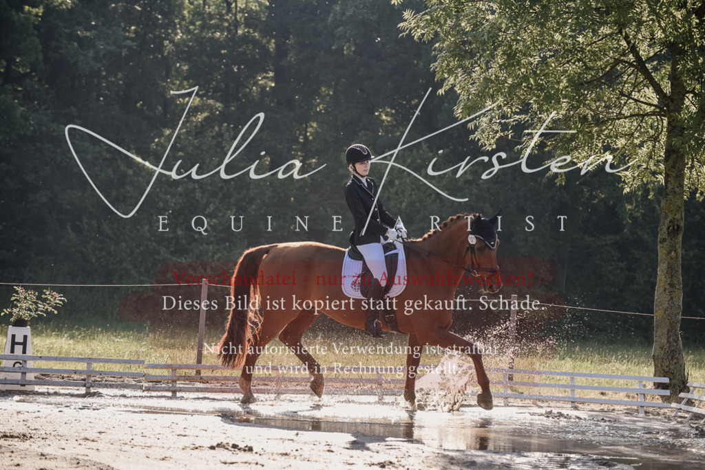 DSC_7725 | Pferde- und Turnierfotografie in Westsachsen. Pferdeportraits, Auftragszeichnungen und intuitive Kunst.