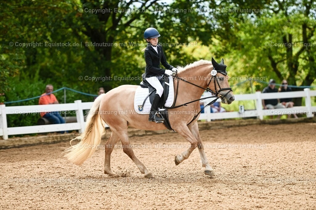 20230716_10-2_Reiter-WB Schritt - Trab - Galopp_0033 | equistock