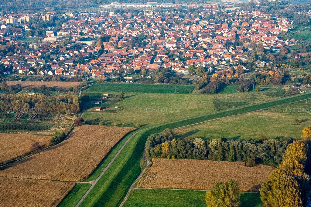 Luftbild: Ortsansicht aus Süden im Ortsteil Maximiliansau in Wörth im Bundesland Rheinland-Pfalz in Deutschland. Foto: IMG_14132.jpg vom 11.10.2008 durch Werner Riehm/FLY-FOTO.de