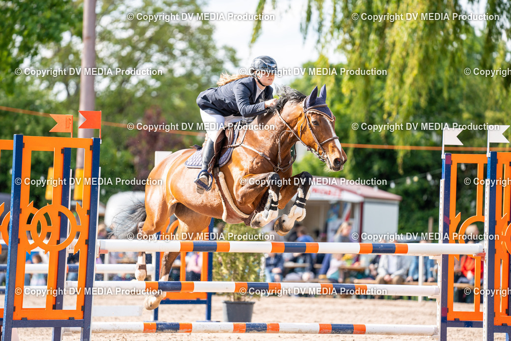 Eppelheim Tag 2-612 | dv-media-shop - Realisiert mit Pictrs.com