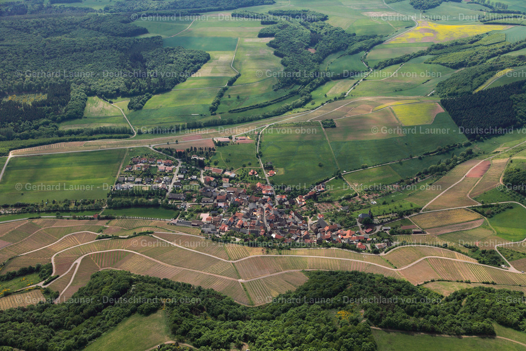 3107183 | Kirschroth